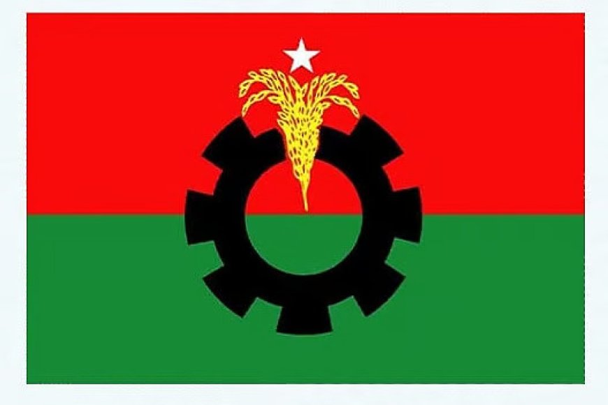 শরিকদের নিয়ে নতুন চিন্তা বিএনপির